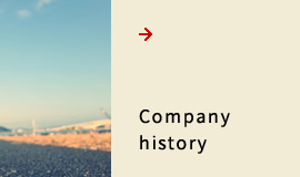 Company history