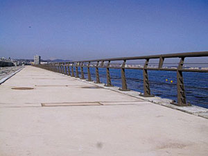 photo1