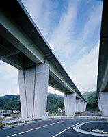 photo1