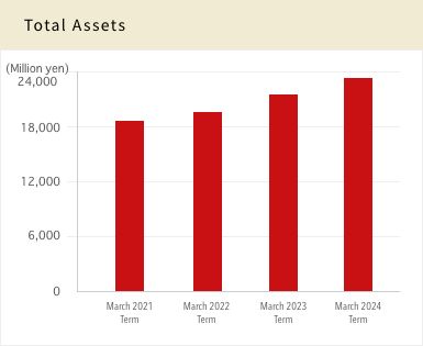 Total Assets