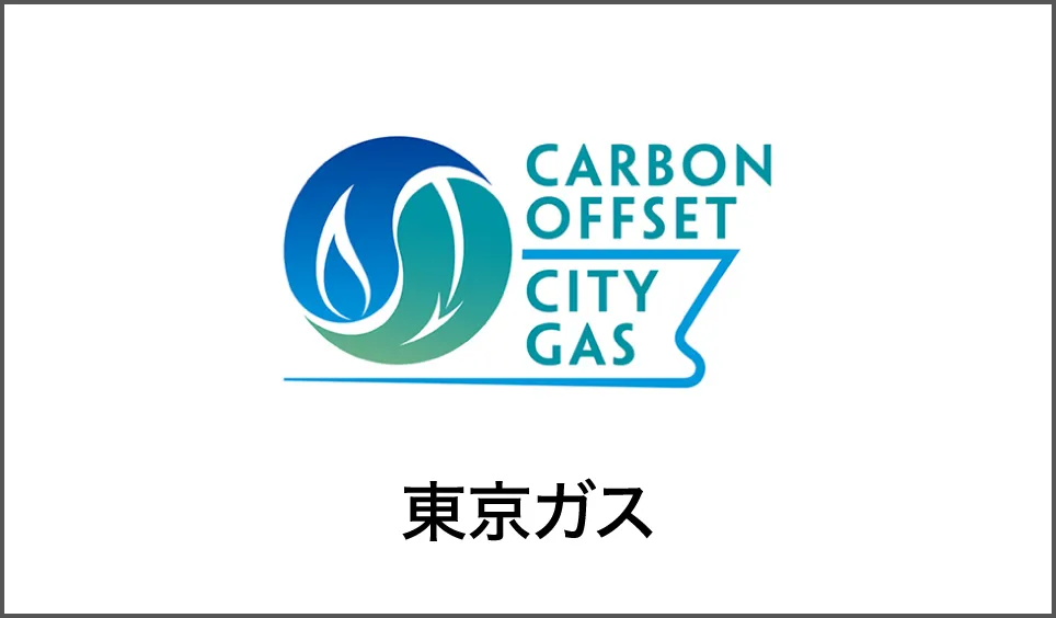 CARBON OFFSET CITY GAS